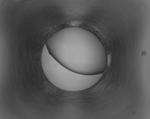 X0000095531443200712140923