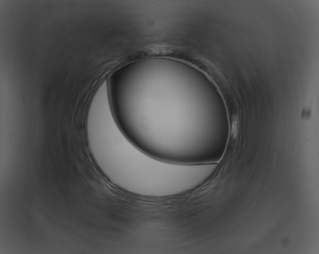 X0000095531444200712140923