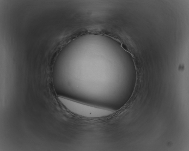 X0000095531445200712140923