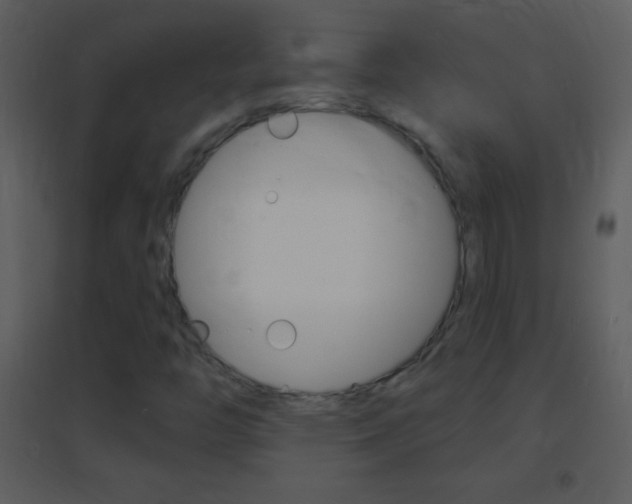 X0000095531446200712140923