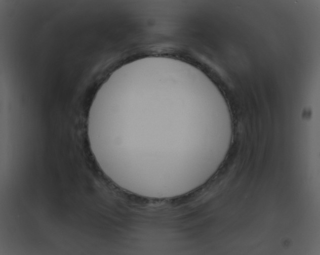 X0000095531447200712140923