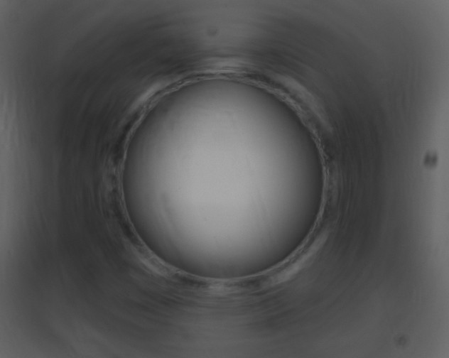 X0000095531449200712140923