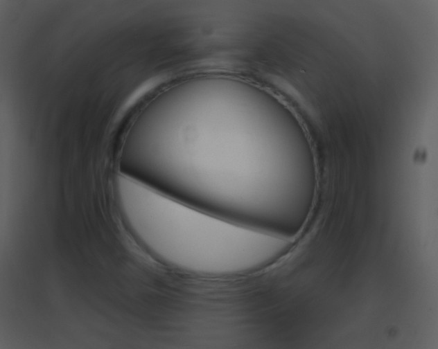 X0000095531450200712140923