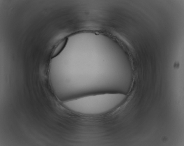 X0000095531451200712140923