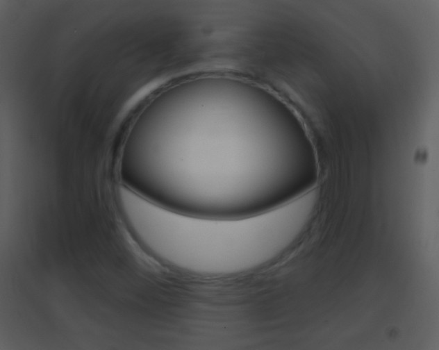 X0000095531452200712140923