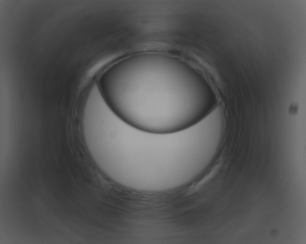 X0000095531453200712140923
