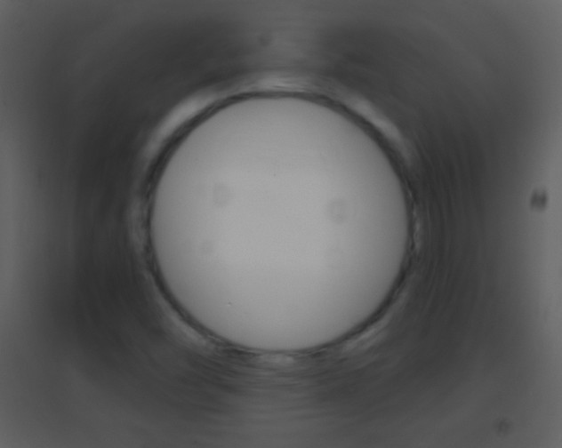 X0000095531454200712140923