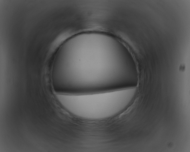 X0000095531455200712140923