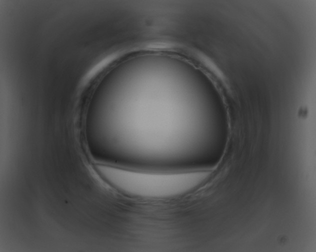 X0000095531456200712140923