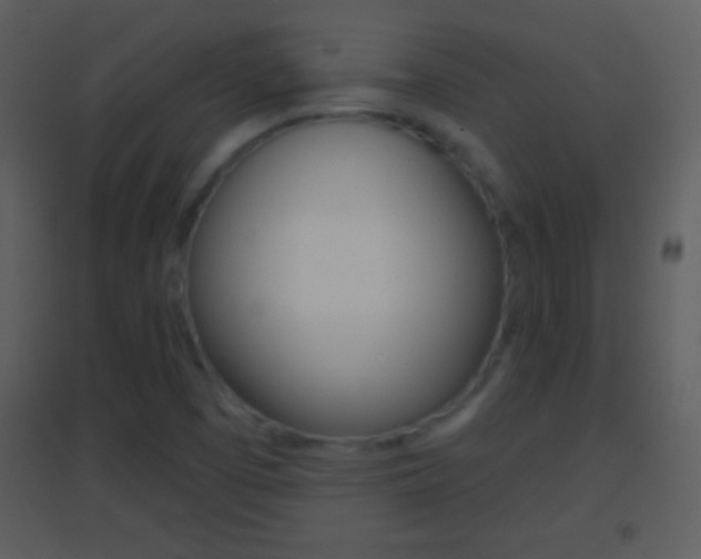 X0000095531457200712140923