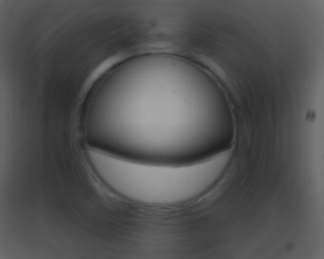 X0000095531458200712140923