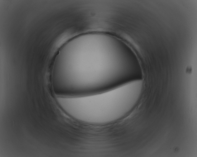X0000095531459200712140923