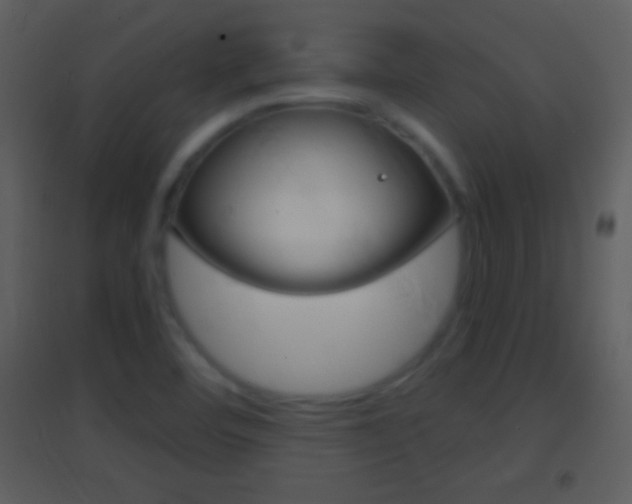 X0000095531460200712140923