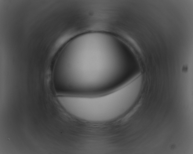 X0000095531461200712140923