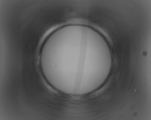X0000095531462200712140923