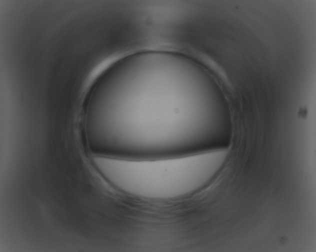 X0000095531463200712140923