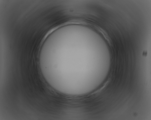 X0000095531465200712140923