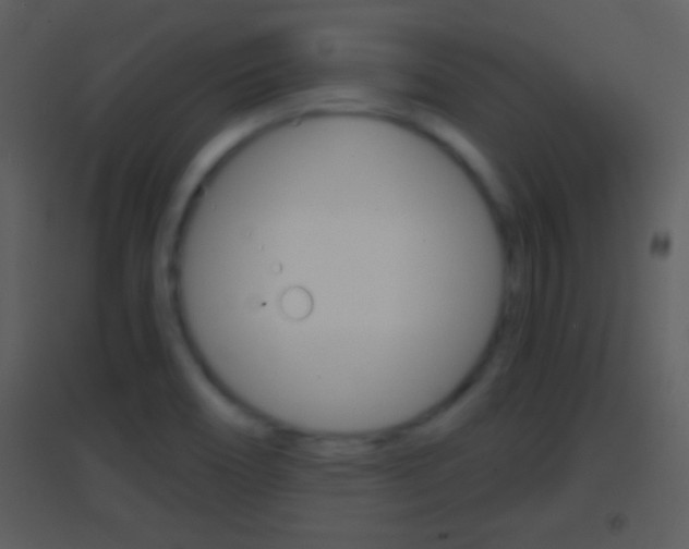 X0000095531466200712140923