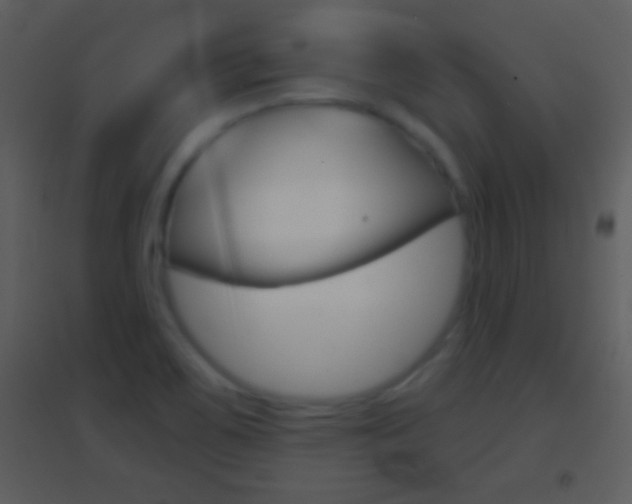 X0000095531467200712140923