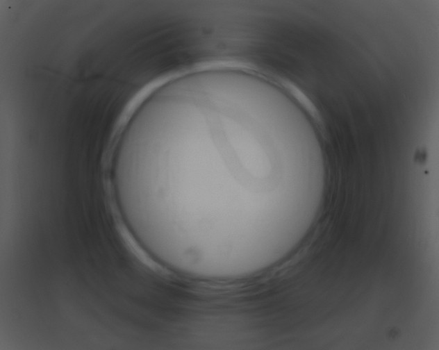 X0000095531468200712140923