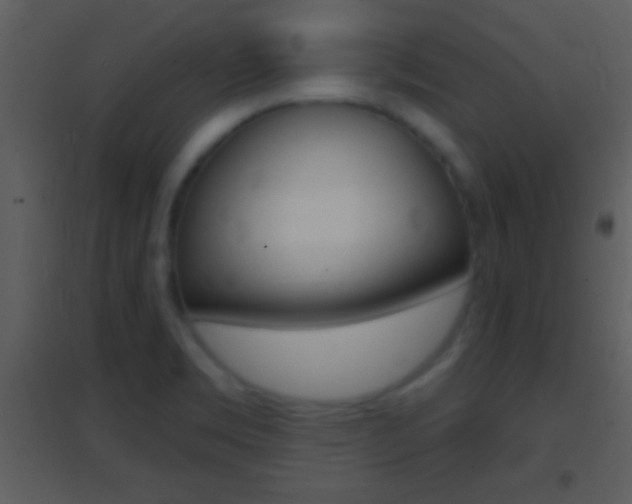 X0000095531469200712140923