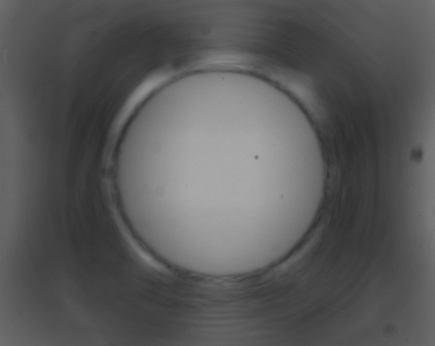 X0000095531470200712140923