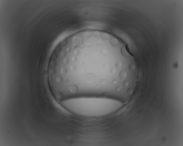 X0000095531471200712140923