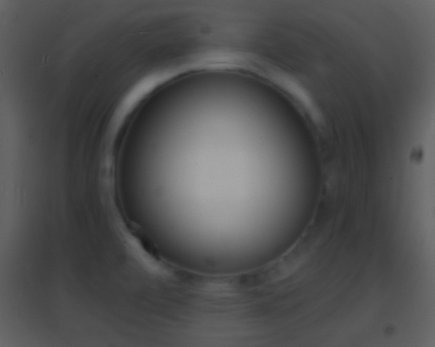 X0000095531472200712140923