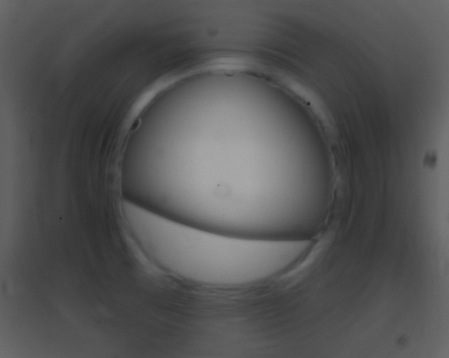 X0000095531473200712140923