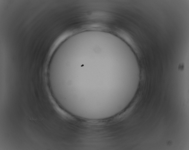 X0000095531474200712140923