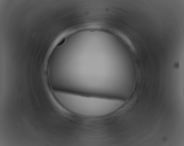X0000095531475200712140923