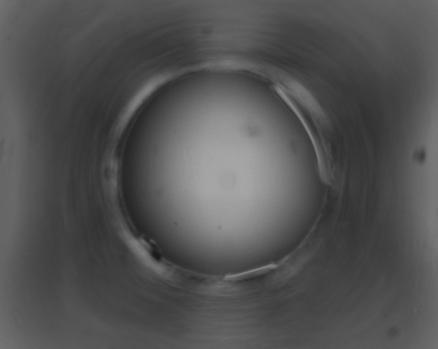 X0000095531476200712140923