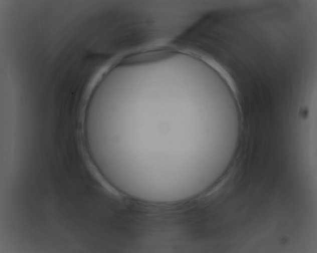 X0000095531477200712140923