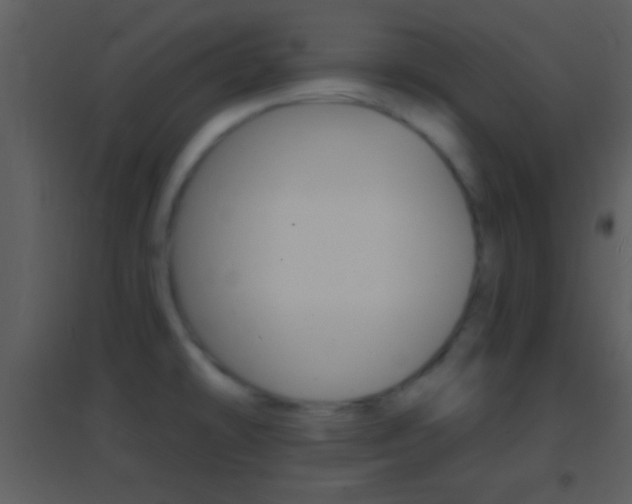 X0000095531478200712140923