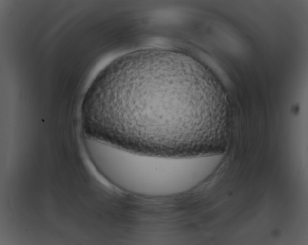 X0000095531479200712140923