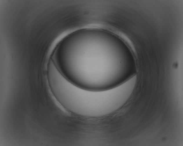 X0000095531480200712140923