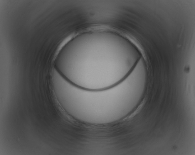 X0000095531481200712140923