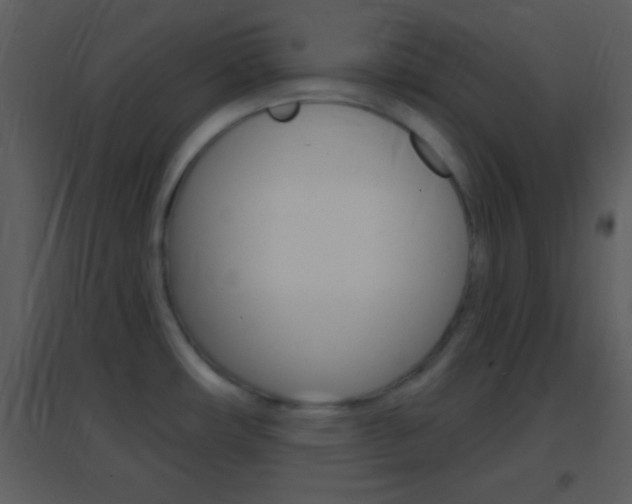 X0000095531482200712140923