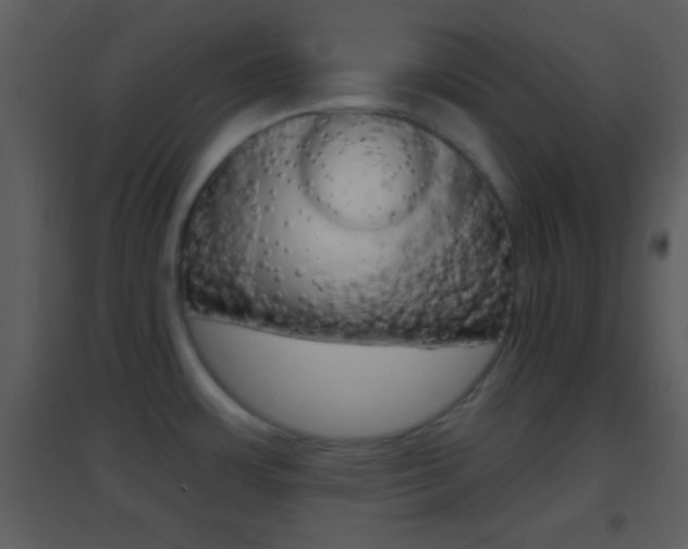 X0000095531483200712140923