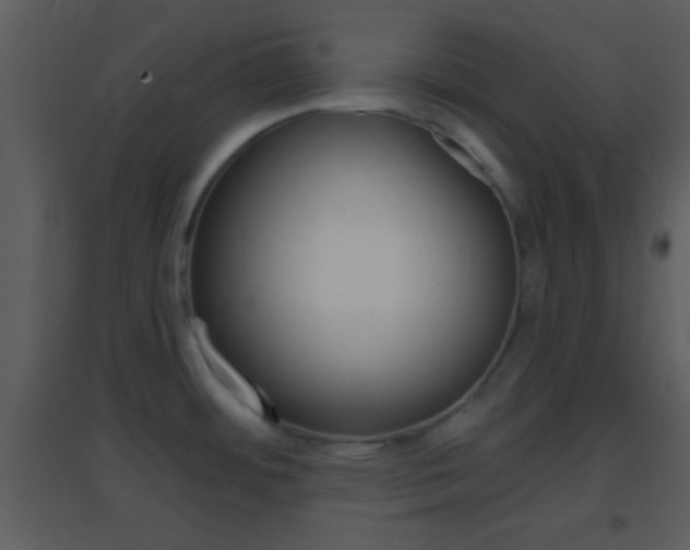 X0000095531484200712140923