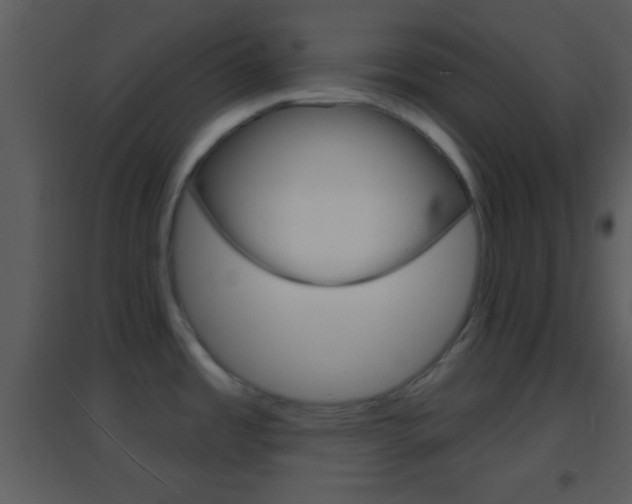 X0000095531485200712140923