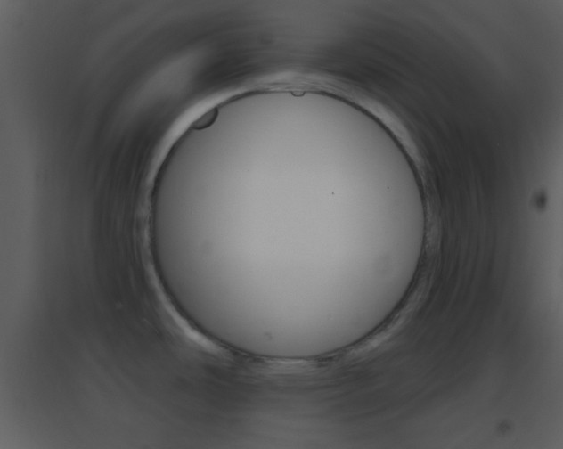X0000095531486200712140923