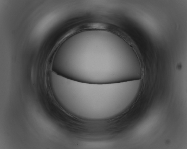 X0000095531487200712140923