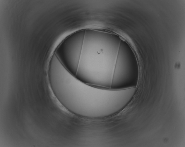 X0000095531488200712140923