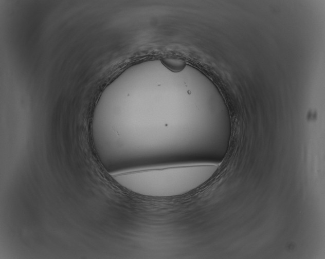 X0000095531489200712140922