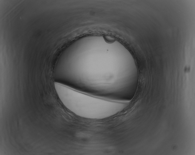 X0000095531490200712140922