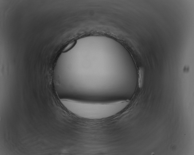 X0000095531491200712140922