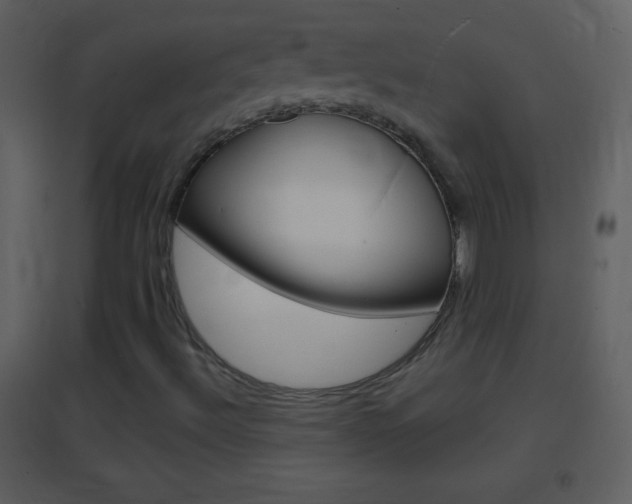 X0000095531492200712140922