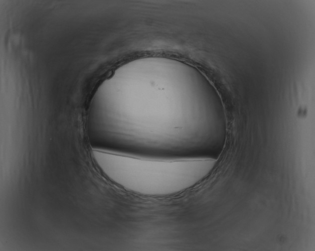 X0000095531493200712140922