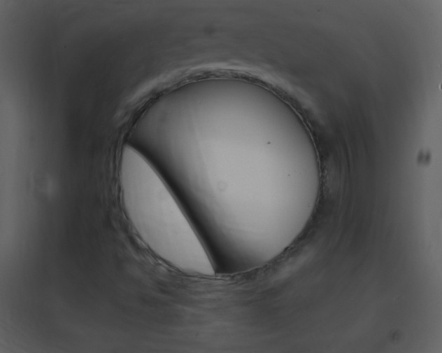 X0000095531494200712140922